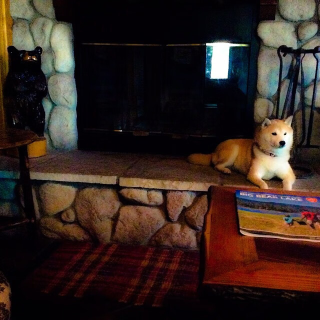 “成都三叉湖滚球赛：力量与技巧的完美融合”