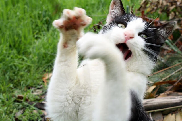 开云体育网页入口-世运火炬传递路线公布，五大地标亮相成都，成都大运会火炬塔