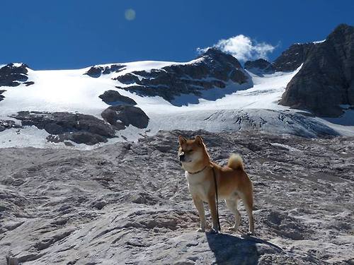 开云在线直播-体育志愿服务基地建设工作加速推进，教育体育志愿服务队