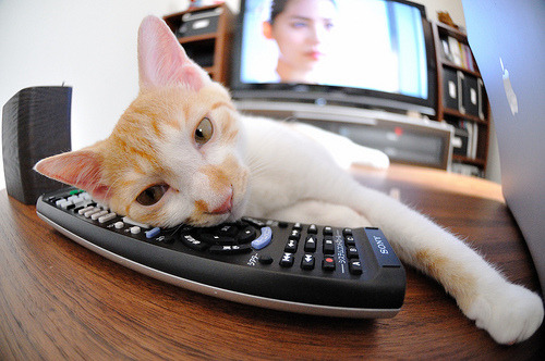 慢节奏阵地战是否更利于压缩进攻回合数，慢节奏rts