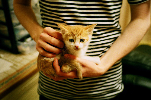 职业联赛风格趋同性为何削弱比赛差异性，职业联赛的性质