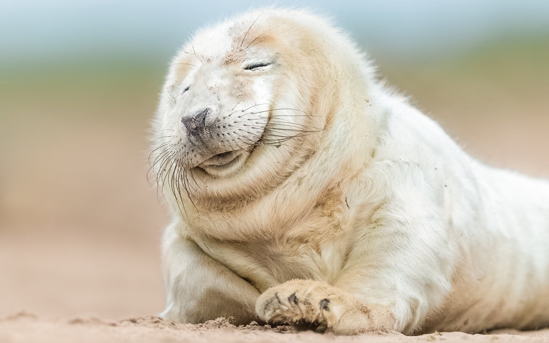 花样滑冰选手技术动作提升，花样滑冰招式